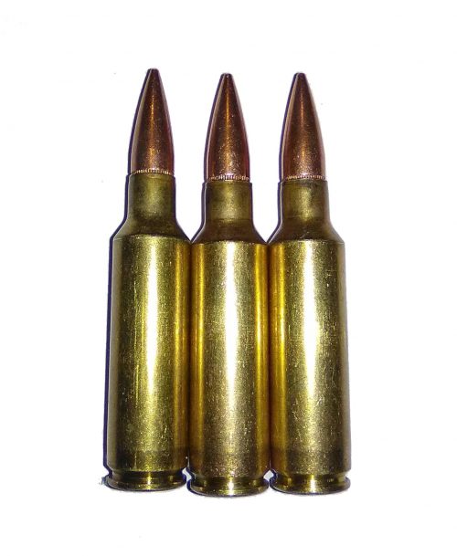300 Winchester Short Magnum .300 WSM Dummy Rounds Snap Caps Fake Bullets J&M Spec INERT