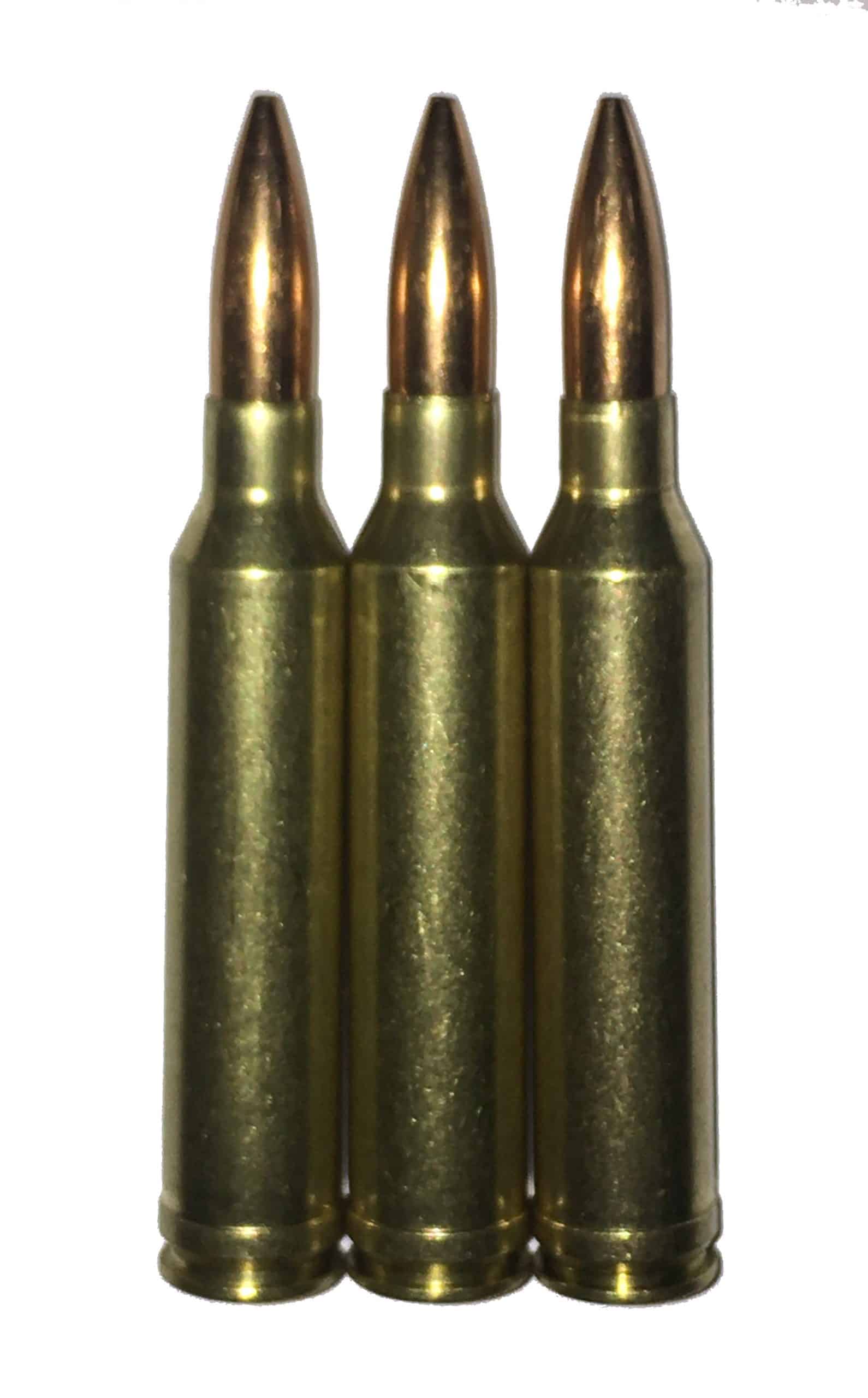 7mm Remington Magnum Dummy Rounds Snap Caps Fake Bullets J&M Spec. LLC