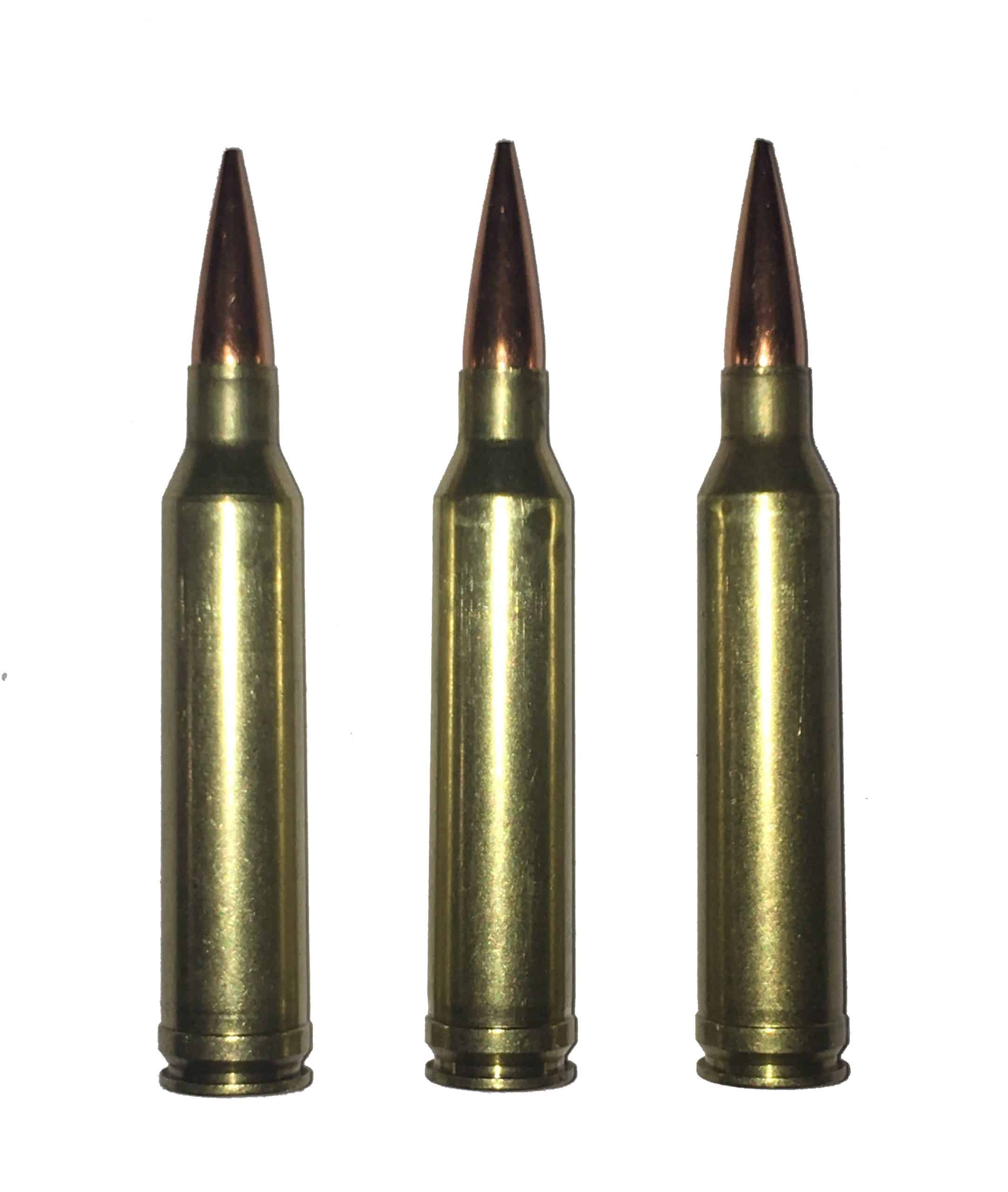 7mm Rem Mag Dummy Rounds Snap Caps Fake Bullets J&M Spec INERT