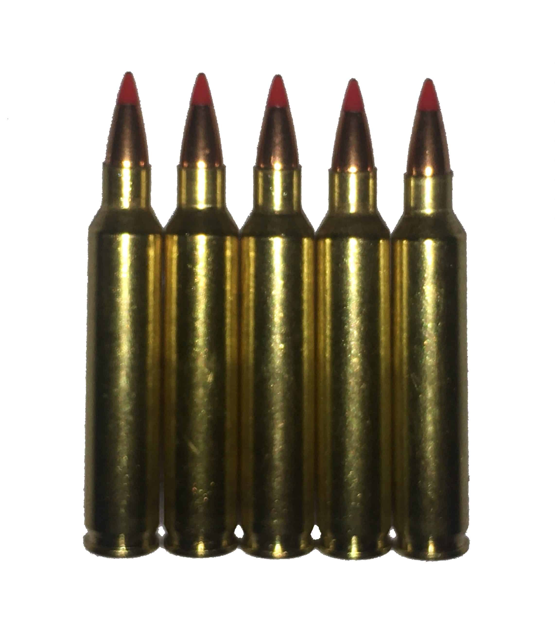Five .204 Ruger Dummy Rounds