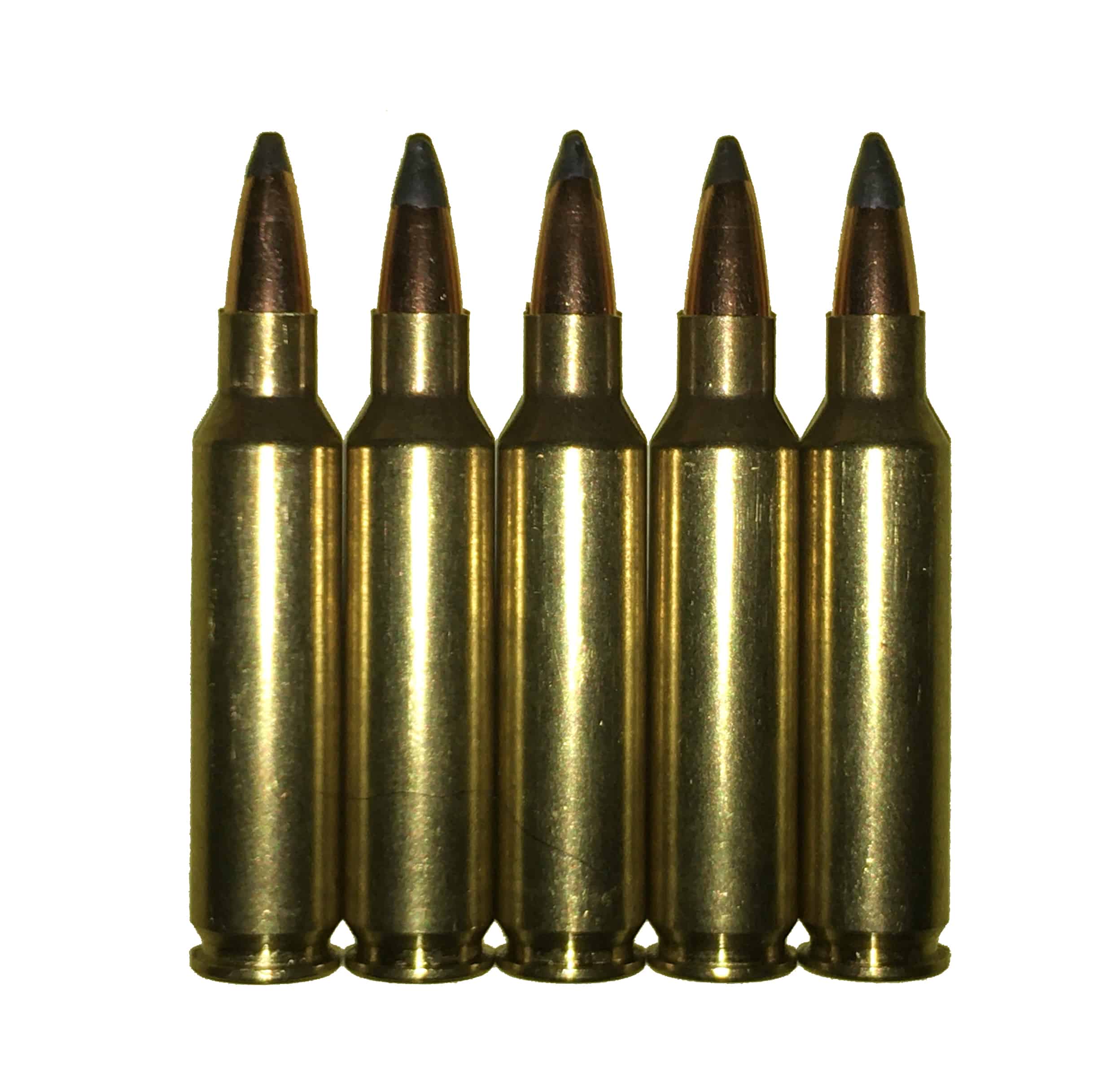 6mm Hagar Dummy Rounds Snap Caps Fake Bullets J&M Spec INERT