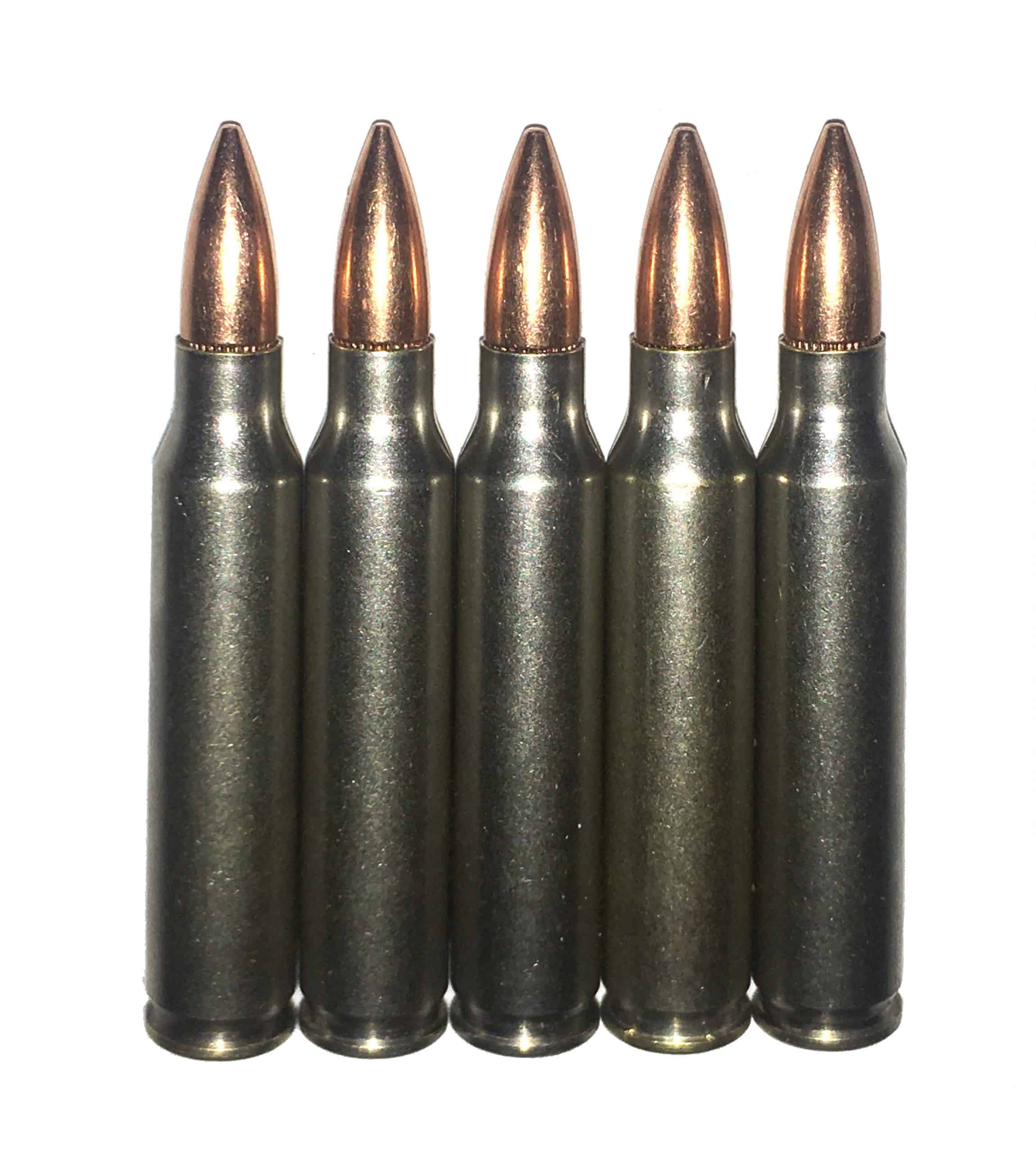 223 Remington Nickel Dummy Rounds Snap Caps Fake Bullets J&M Spec INERT