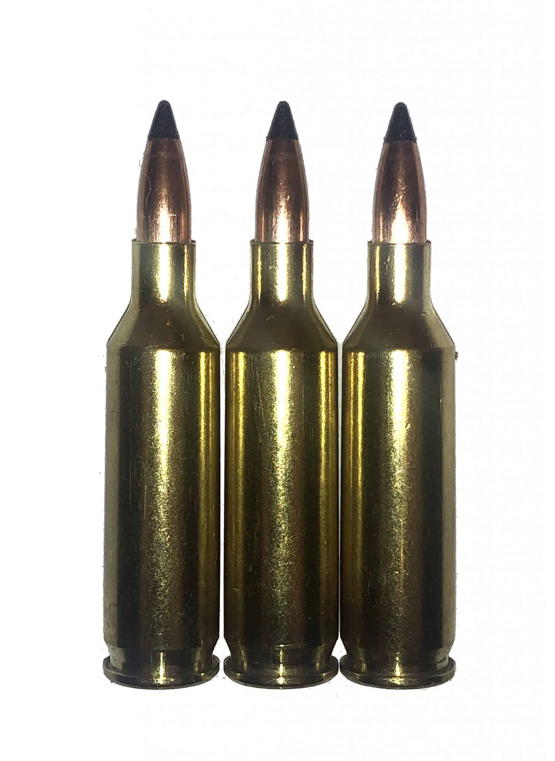 .17 Remington Fireball Dummy Cartridges Rounds Snap Caps Fake Bullets J&M Spec INERT