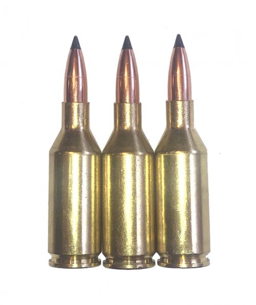 243 WSSM Snap Caps Dummy Rounds Fake Bullets Ammo J&M Spec INERT