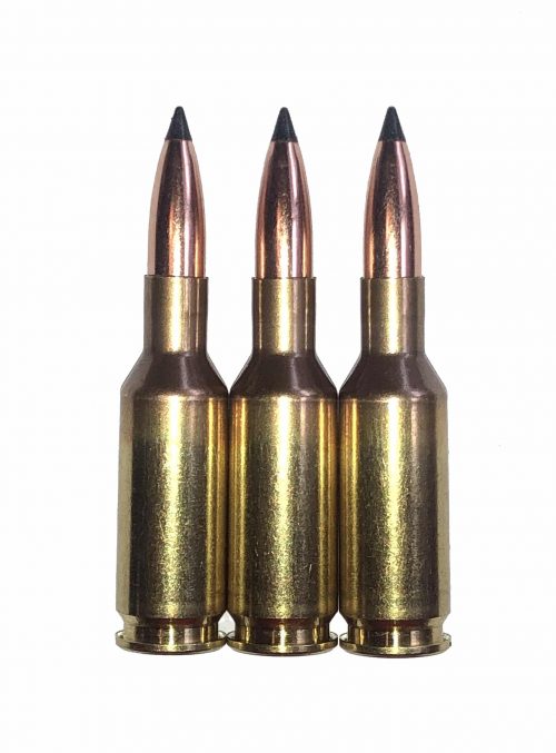 6mm BR Norma Dummy Rounds Snap Caps Fake Bullets Ammo Bench Rest J&M Spec INERT