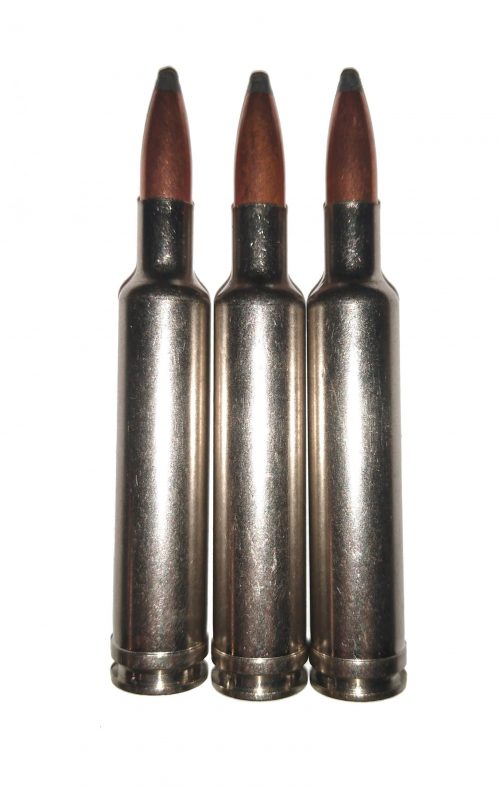 270 Wby Mag Nickel Dummy Rounds Snap Caps Fake Bullets .270 Weatherby Magnum J&M Spec INERT