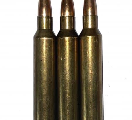 300 Remington Ultra Magnum Rem Ultra Mag RUM Dummy Rounds Snap Caps Fake Bullets J&M Spec INERT
