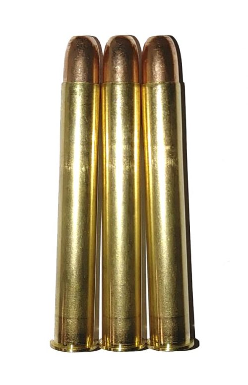 450 Nitro Express Dummy Rounds Snap Caps Fake Bullets